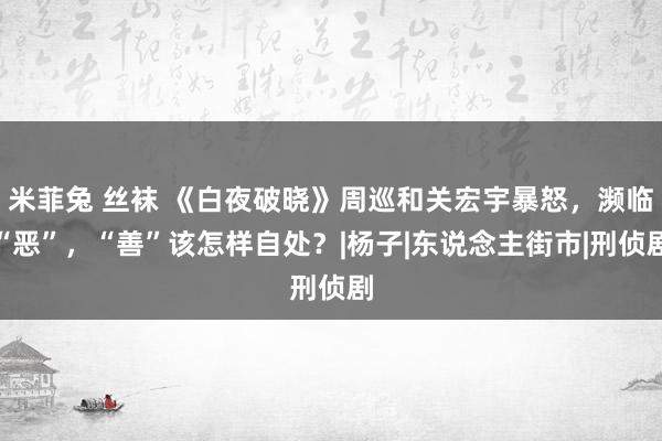 米菲兔 丝袜 《白夜破晓》周巡和关宏宇暴怒，濒临“恶”，“善”该怎样自处？|杨子|东说念主街市|刑侦剧