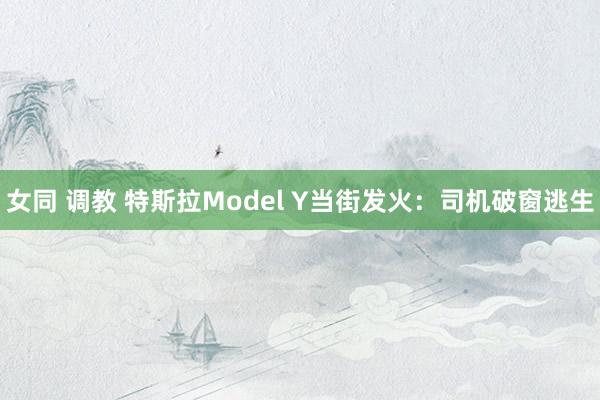 女同 调教 特斯拉Model Y当街发火：司机破窗逃生