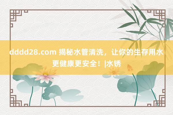 dddd28.com 揭秘水管清洗，让你的生存用水更健康更安全！|水锈