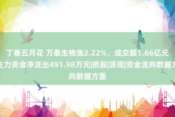 丁香五月花 万泰生物涨2.22%，成交额1.66亿元，主力资金净流出491.98万元|抓股|派现|资金流向数据方面