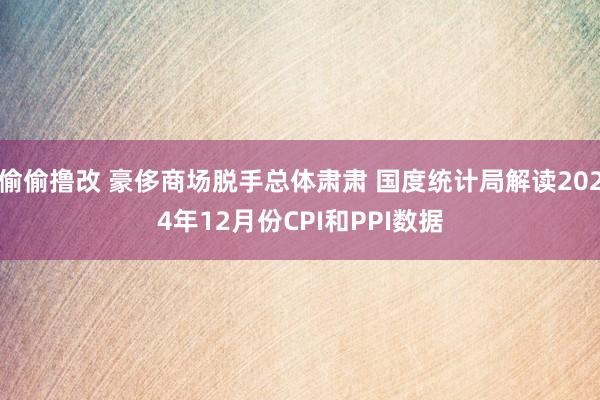 偷偷撸改 豪侈商场脱手总体肃肃 国度统计局解读2024年12月份CPI和PPI数据