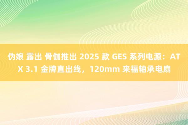伪娘 露出 骨伽推出 2025 款 GES 系列电源：ATX 3.1 金牌直出线，120mm 来福轴承电扇