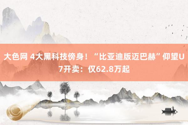 大色网 4大黑科技傍身！“比亚迪版迈巴赫”仰望U7开卖：仅62.8万起