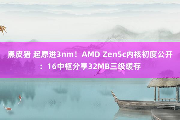 黑皮猪 起原进3nm！AMD Zen5c内核初度公开：16中枢分享32MB三级缓存