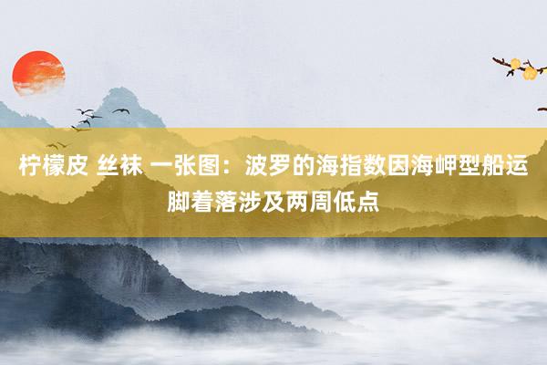 柠檬皮 丝袜 一张图：波罗的海指数因海岬型船运脚着落涉及两周低点