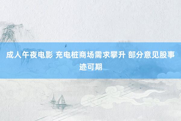 成人午夜电影 充电桩商场需求攀升 部分意见股事迹可期