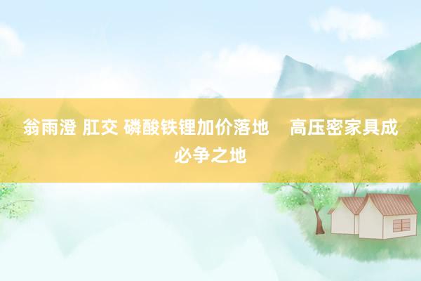 翁雨澄 肛交 磷酸铁锂加价落地    高压密家具成必争之地