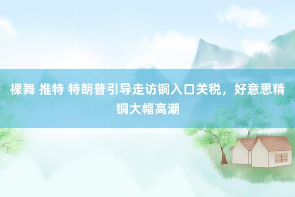 裸舞 推特 特朗普引导走访铜入口关税，好意思精铜大幅高潮